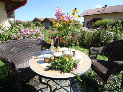 Bild 6 aus  Stefanutti Hof