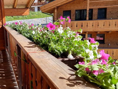 Bild 341 aus  Der Ortnerhof