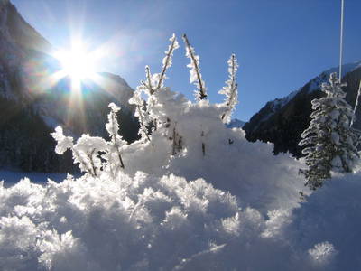 Bild 47 aus  Bio- und Kinderbauernhof Voglbach