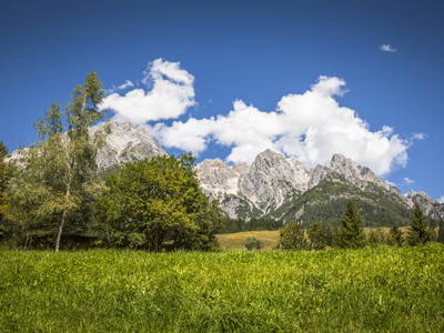 Bild 8 aus  Pochergütl