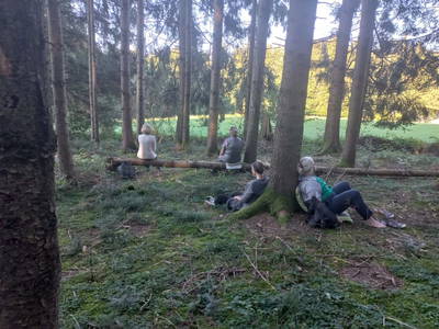 Bild 16 aus  Sweet Home Alpacas