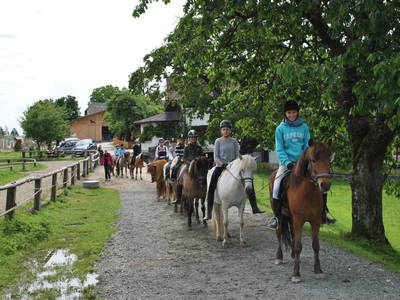 Bild 65 aus  Isländerhof Köck vlg. Kristanhof