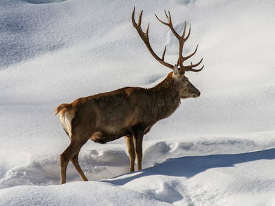 Bild 75 aus  Egglbauer