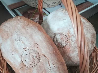 Bild 54 aus  Anderlbauer