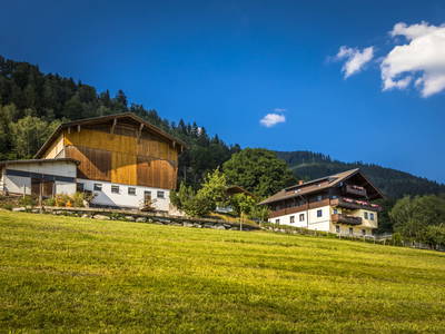 Bild 2 aus  Wengerbauer