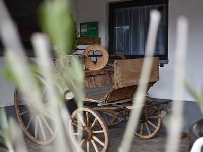 Bild 25 aus  Nöglhof