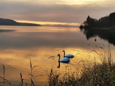 Bild 97 aus  Dichtlhof