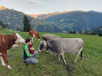 Bild 30 aus  Pfandlinghof