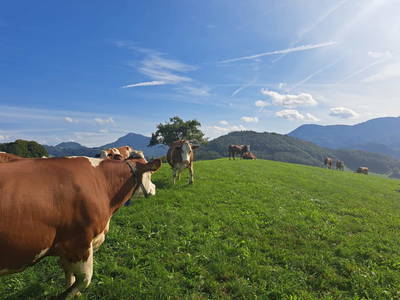 Bild 12 aus  Brettmaisserhof