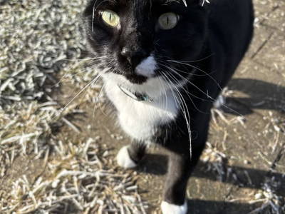 Bild 52 aus  Hacknerhof