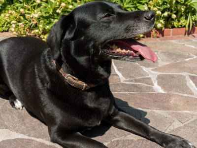 Bild 200 aus  Vitalhof Roithinger