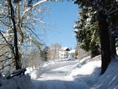 Bild 10 aus  Wastlhof  Urlaub auf dem Bauernhof