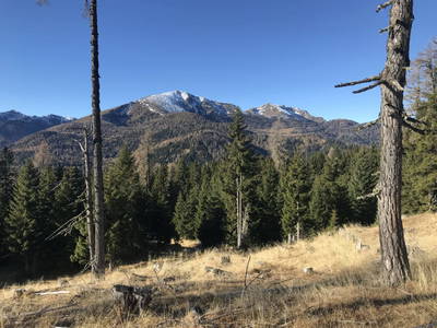 Bild 9 aus  TANAs Almhütte