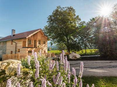 Bild 54 aus  Spitzenhof