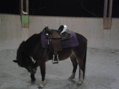 Bild 37 aus  Hof zu Steinern