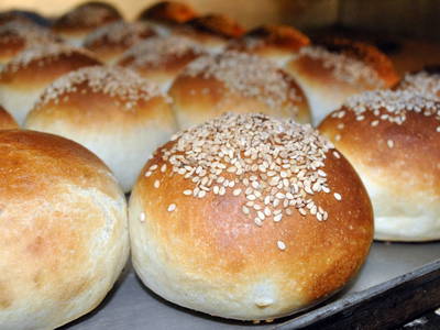 Bild 20 aus  Prentnergut