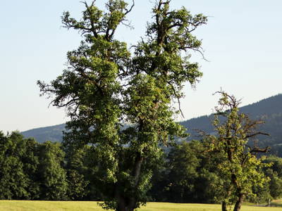 Bild 17 aus  Lodge am Wasser