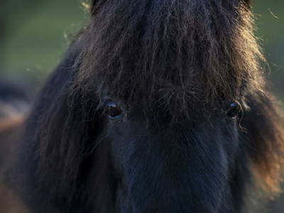 Bild 72 aus  Riedhof-Zuahaus