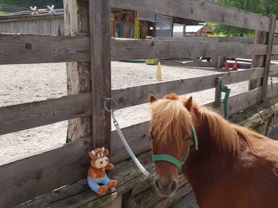 Bild 78 aus  Alpin Appart Reiterhof