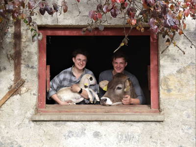 Bild 2 aus  Pfeiferhof