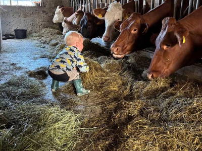 Bild 9 aus  Ferienbauernhof Dür