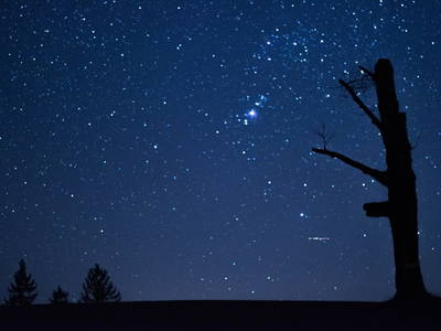 Bild 85 aus  Die Hinterbreiteneben - Natur, Alleinlage & Ski