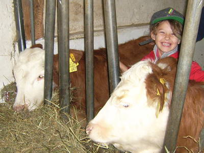 Bild 9 aus  Dammerer Hof