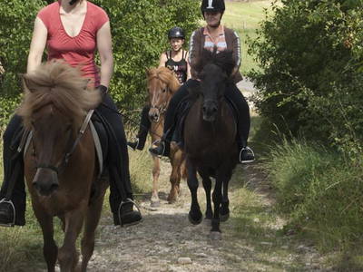 Bild 12 aus  Landhotel-Ferienhof Schneider