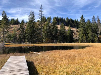 Bild 12 aus  Fichtenhof