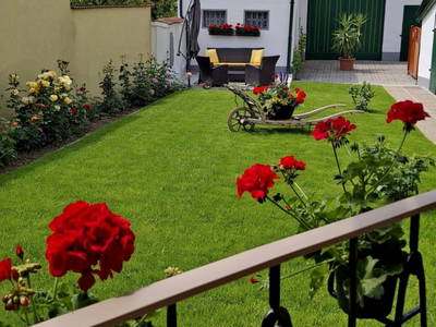 Bild 76 aus Ferienhaus Weinviertel