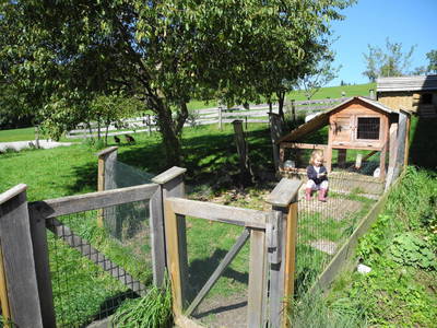 Bild 47 aus  Peter in der Edt