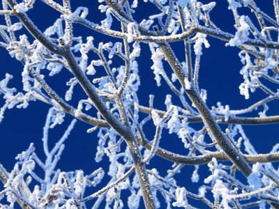 Bild 49 aus  Naturhof Innauer