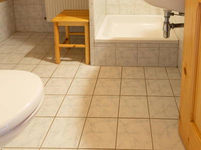 Bild 273 aus  Wolfsbachhütte