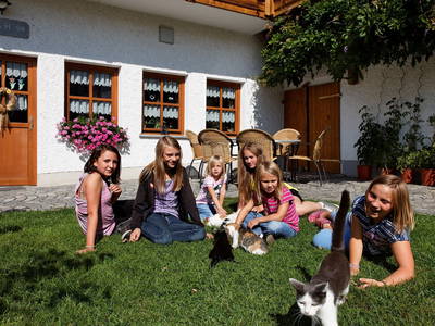 Kinder spielen mit den Katzen