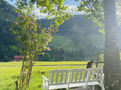Aussichtsbankerl