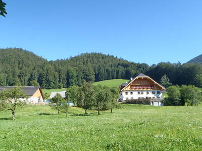 Bild 8 aus  Rußbachbauer