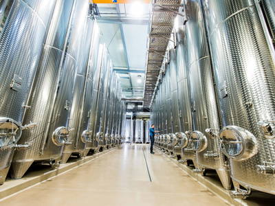 Bild 35 aus  Weingut Krispel