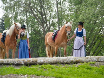 Bild 20 aus  Kühbergerhof