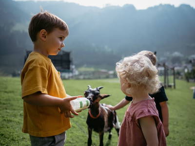 Bild 133 aus  Haarlehenhof