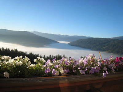 Bild 36 aus  Veitlbauer