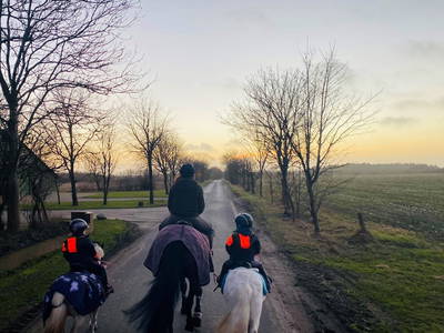 Bild 84 aus  Lindenhof