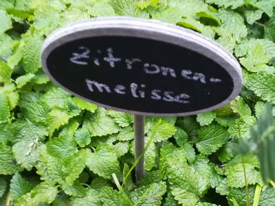 Bild 95 aus  Tobadillerhof Kinderbauernhof Pitztal Tirol