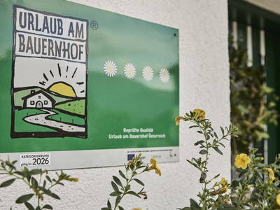 Bild 50 aus  Stückler - Hütte