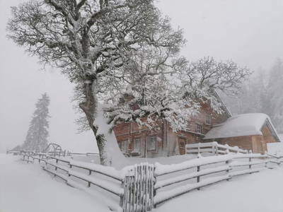 Bild 21 aus  Ferienhaus "Bichlhütte"
