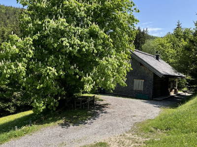 Bild 9 aus  Kühleitalm