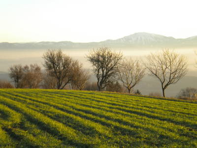 Bild 48 aus  Gästezimmer Weiß