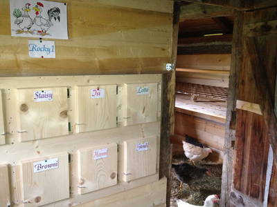 Bild 142 aus  Heisshof 