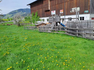 Bild 28 aus Vierthalerhof