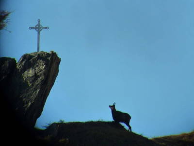 Bild 57 aus  Weifer Biobauernhof