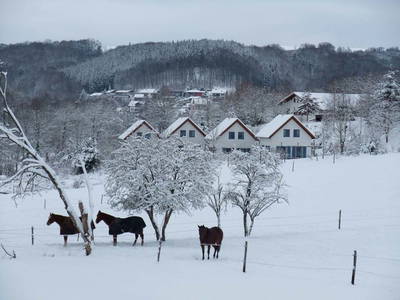 Bild 18 aus  Ferienhäuser Bellana